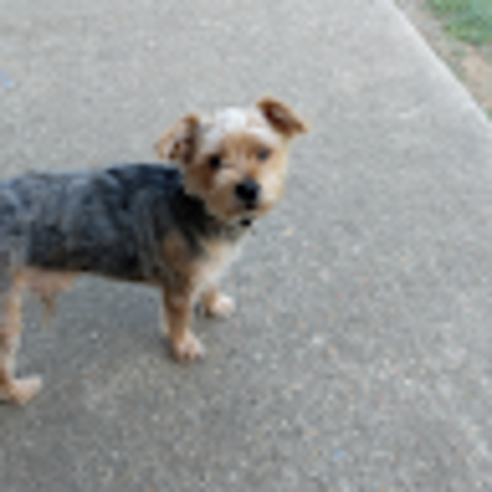 Meet your Posher, Larry